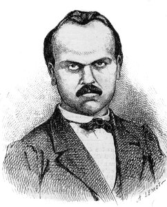 Ranskalaisen kirjailijan Louis Noirin (1837-1901) muotokuva - Lemot