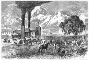Sugar Plantation, New Orleans, 1870. tekijältä A. R. Ward