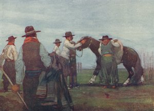 Gauchot murtautumassa nuoreen hevoseen, 1916 tekijältä A. S. Forrest