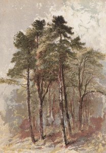 Kuusiryhmä (chromolitho) tekijältä Aaron Edwin Penley