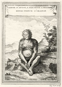 Kuva Orang-Outangista, joka esitettiin Frederick Henrylle, Orangen prinssille, 1750 tekijältä Abbé Prévost