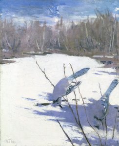 Blue Jays in Winter, tutkimus kirjaan Concealing Coloration in the Animal Kingdom, n. 1905-1909. tekijältä Abbott Handerson Thayer