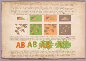 Diagramm und Kupferkopfschlange, Studienmappe für das Buch Concealing Coloration in the Animal Kingdom tekijältä Abbott Handerson Thayer