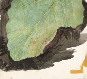 Heterocampa Biundata, Walker, tutkimus kirjaan Concealing Coloration in the Animal Kingdom, n.d. tekijältä Abbott Handerson Thayer