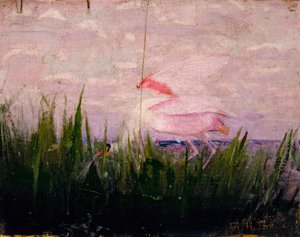Roseate Spoonbill, tutkimus kirjaan Concealing Coloration in the Animal Kingdom, n. 1905-1909. tekijältä Abbott Handerson Thayer