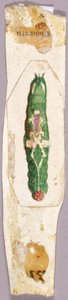 White Birch Leaf Edge Caterpillar, tutkimus kirjaan Concealing Coloration in the Animal Kingdom. tekijältä Abbott Handerson Thayer