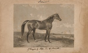 Aliwal, Sir Harry Smithin omaisuus, Bart (litografia) tekijältä Abraham (after) Cooper