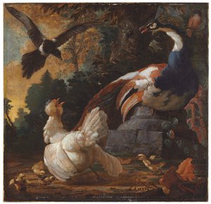 Riikinkukko, siipikarja ja harakka maisemassa, 1720 tekijältä Abraham Bisschop