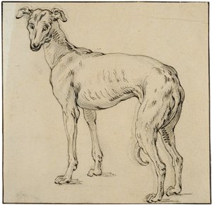 Vinttikoira tekijältä Abraham Bloemaert