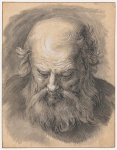 Tutkimus parrakkaan miehen päästä tekijältä Abraham Bloemaert