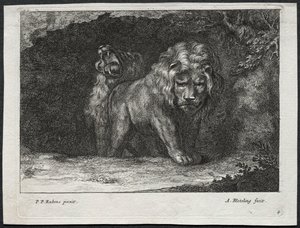 Erilaisia lioneita tekijältä Abraham Blooteling