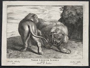 Erilaisia lioneita. tekijältä Abraham Blooteling