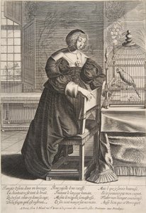 Papukaija, 1620-76. tekijältä Abraham Bosse