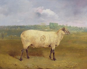 Prize Ewe, jonka monogrammi on "H", joka kuuluu herra J.A. Houblon, Hallingbury Place, Essex, 1812