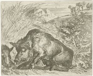 Villisika Eri eläimet (sarjan nimi) tekijältä Abraham Danielsz. Hondius