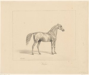 Arabian ori Vezir (otsikko esineessä) tekijältä Abraham Vinkeles