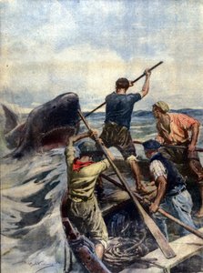 Sisilialaisten kalastajien ja valtavan tiikerihain välinen vastakkainasettelu päättyi merihirviön kiinniottoon, joka painoi 12 senttiä. Sairas d