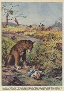 Afrikan seikkailuja