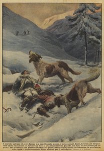 Koirat, jotka pelastavat
