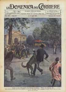 Koirat poliisin apuun