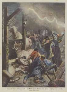 Salaman oikkuja tallissa CastellAlferossa (Alessandrian maakunta), laskeutukaa ja loukkaantuvat?
