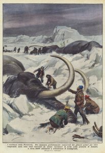 Esihistorian todistajat