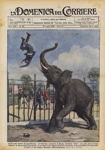 Pachydermin toinen rikos
