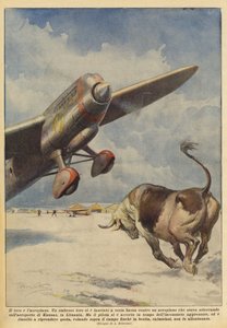 Härkä ja lentokone