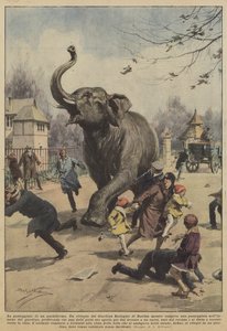 Pachydermin kävely