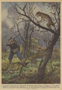 Metsästäjän yllätys