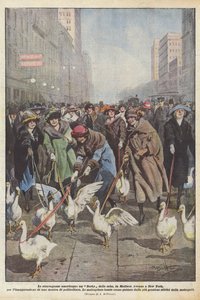 Amerikkalaisia ​​ylilyöntejä, Geese Derbyä Madison Avenuella New Yorkissa, avajaisia ​​varten?