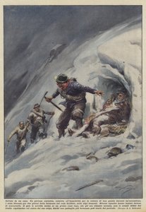 Koiran pelastama