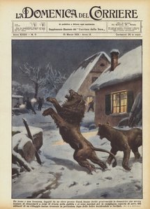 Sirkuksesta Gentin lähellä pakenneet leijona ja leijona loukkasivat vakavasti kesyttäjää, kuka?