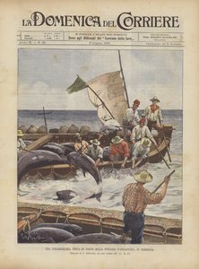 Poikkeuksellinen tonnikalan kalastus Tonnara DIsolapianassa Sardiniassa