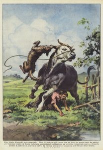 Huolellinen tirade dorecchi