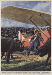 Puolalainen lentäjä, joka oli joutunut laskeutumaan äkillisen moottorivian vuoksi vuorilla?