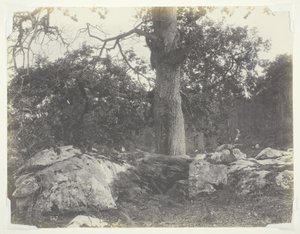 Metsä ja kalliot, Fontainebleau tekijältä Achille Quinet