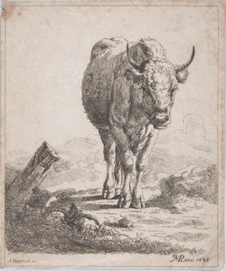Lehmä edestä katsottuna, 1805.
