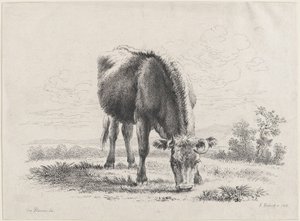 Lehmän laiduntaminen, 1805, 1805. tekijältä Adam von Bartsch