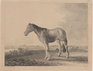 Hevonen seisoo pellolla profiilissa vasemmalla, 1809. tekijältä Adam von Bartsch