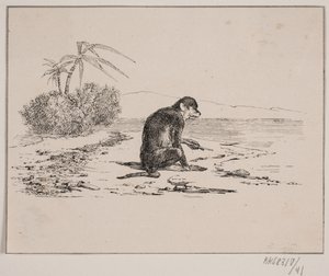 Apina kissa tekijältä Johan Adolph Kittendorff