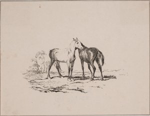 Kaksi hevosta tekijältä Johan Adolph Kittendorff