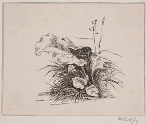 Viulu tekijältä Johan Adolph Kittendorff