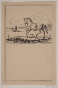 Hevonen vedessä. Ei. 22 Chr. Winther ja M. Rørbye, "25 kuvaa pienille lapsille" tekijältä Johan Adolph Kittendorff