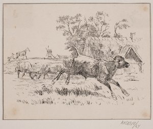 Peura tekijältä Johan Adolph Kittendorff