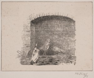 Kanat ja ankat tekijältä Johan Adolph Kittendorff