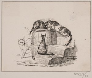 Kissat tekijältä Johan Adolph Kittendorff