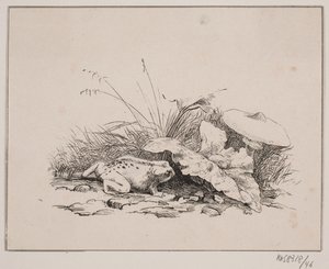 Rupikonna tekijältä Johan Adolph Kittendorff