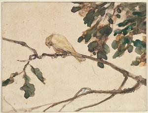 Kanarian tammipuun oksalla (wc paperilla) tekijältä Adolph Menzel