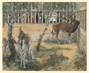 Damhirvi aitauksessa. Teoksesta ”Lastenalbumi” tekijältä Adolph Menzel
